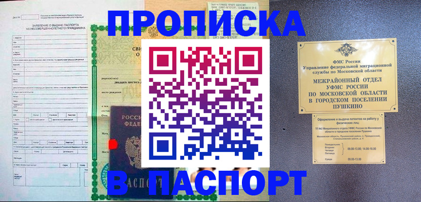 временная регистрация госуслуги в Владимирской области